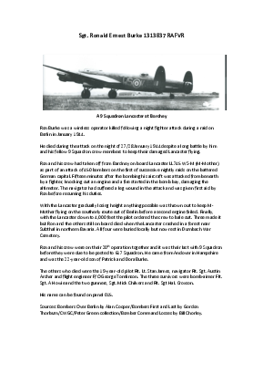 A preview of a PDF biography for Burke, Ronald Ernest